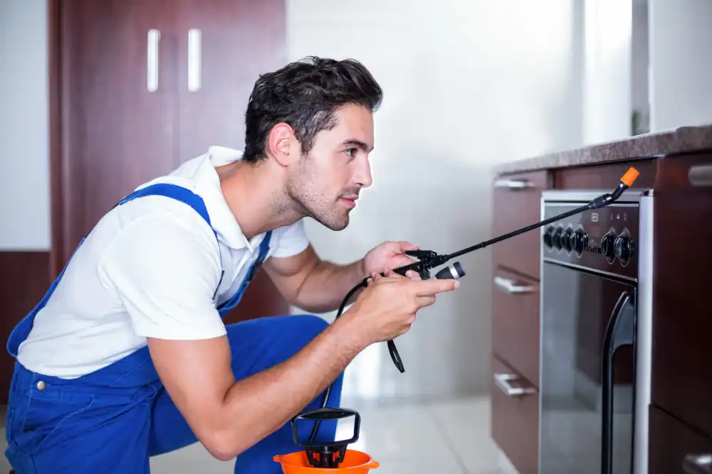 Early signs of appliance wear to prevent costly repairs